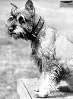 Aki - 5месяцев