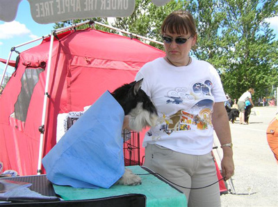 Tmavi Knir Lakert j&auml;&auml;htym&auml;ss&auml; Turun n&auml;yttelyss&auml; 26.07.2006