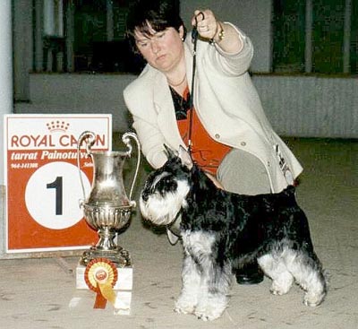 Tmavi Knir Lavina n/a