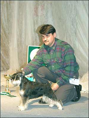 Tmavi Knir Lavina n/a