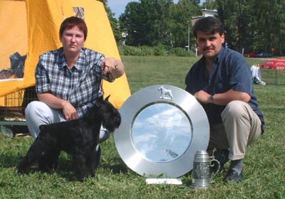 Tmavi Knir Milli n/a