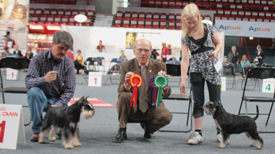 Tmavi Knir Lakert слева