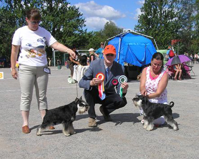 Tmavi Knir Lakert слева