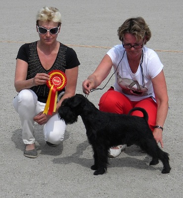 Tmavi Knir Deep Purple