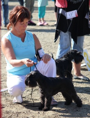 Tmavi Knir Fairway To Win