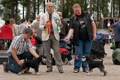 Rex Tmavi Knir Impress of Nessland at Heinola all breed show 22.8.2010, BOB