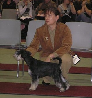 Tmavi Knir Septem Dona