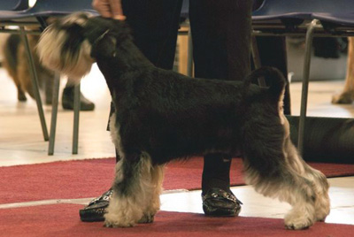 Tmavi Knir Son Of Sol