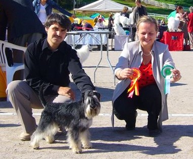 Tmavi Knir Storm n/a