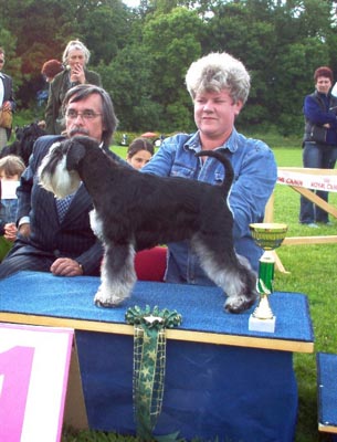 Tmavi Knir Sunny n/a